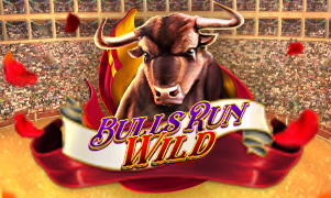 Bulls Run Wild Team Logo